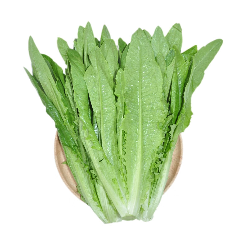 油麦菜 莴笋尖500克左右