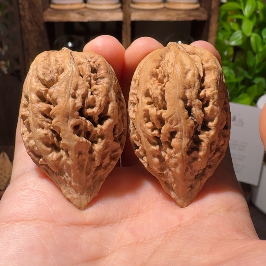 文玩核桃把件火焰霸王龙