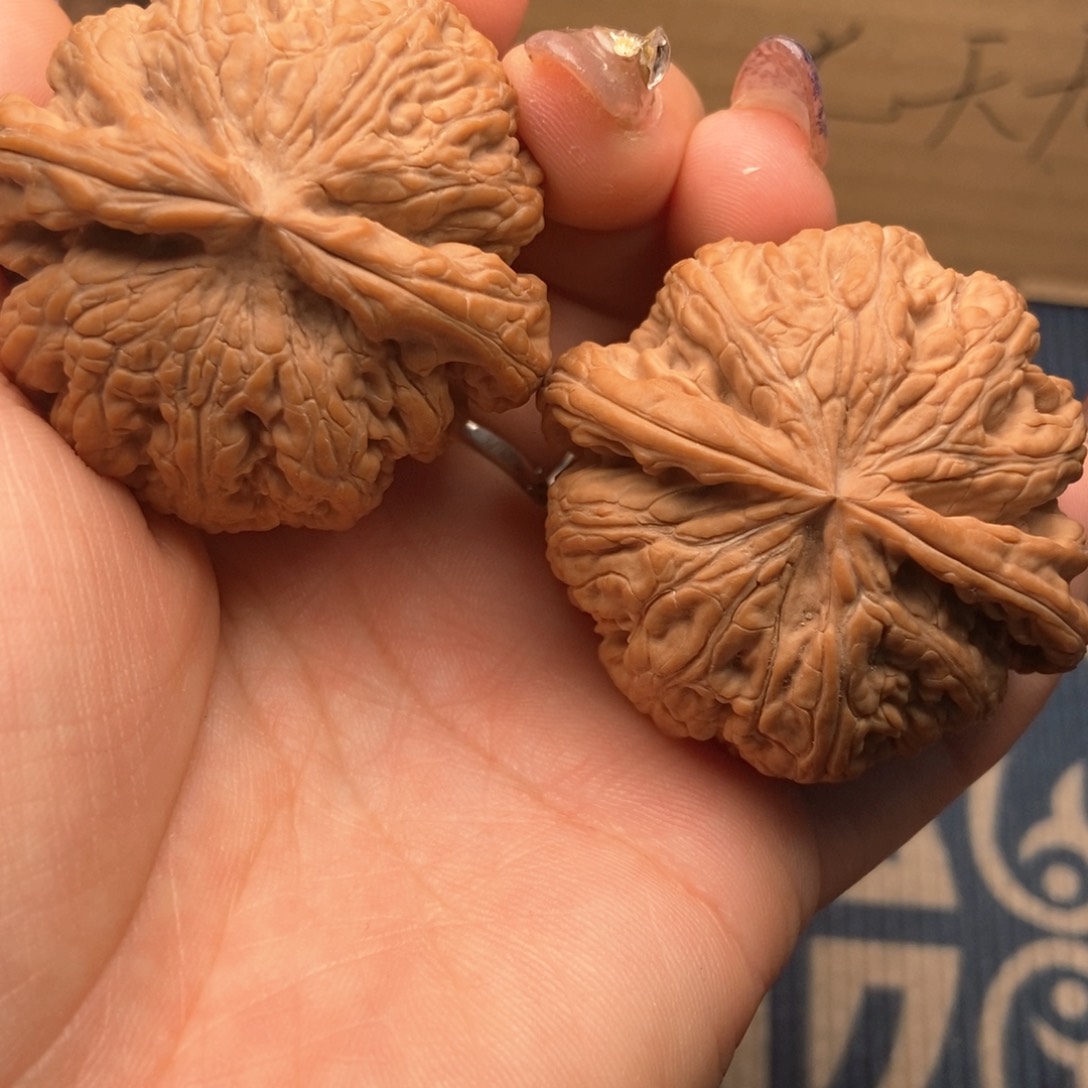 文玩核桃吊坠47粗筋