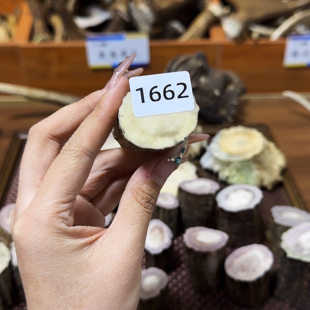 鹿骨手串/手链1662（根段