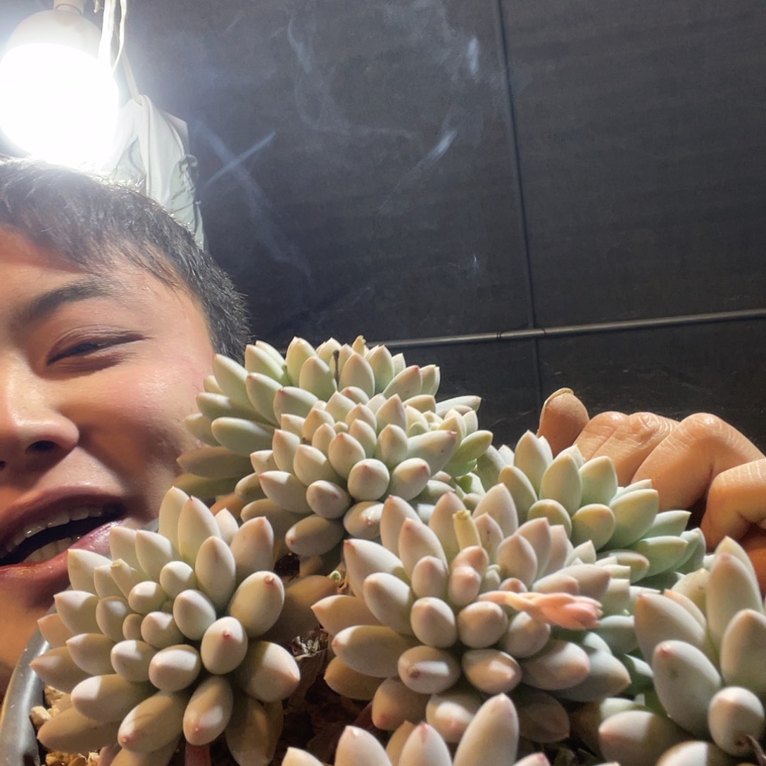 彩色奶糖满20包邮脱土发货