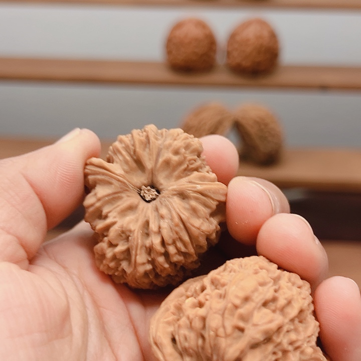 慢***奏涿鹿南京石文玩核桃