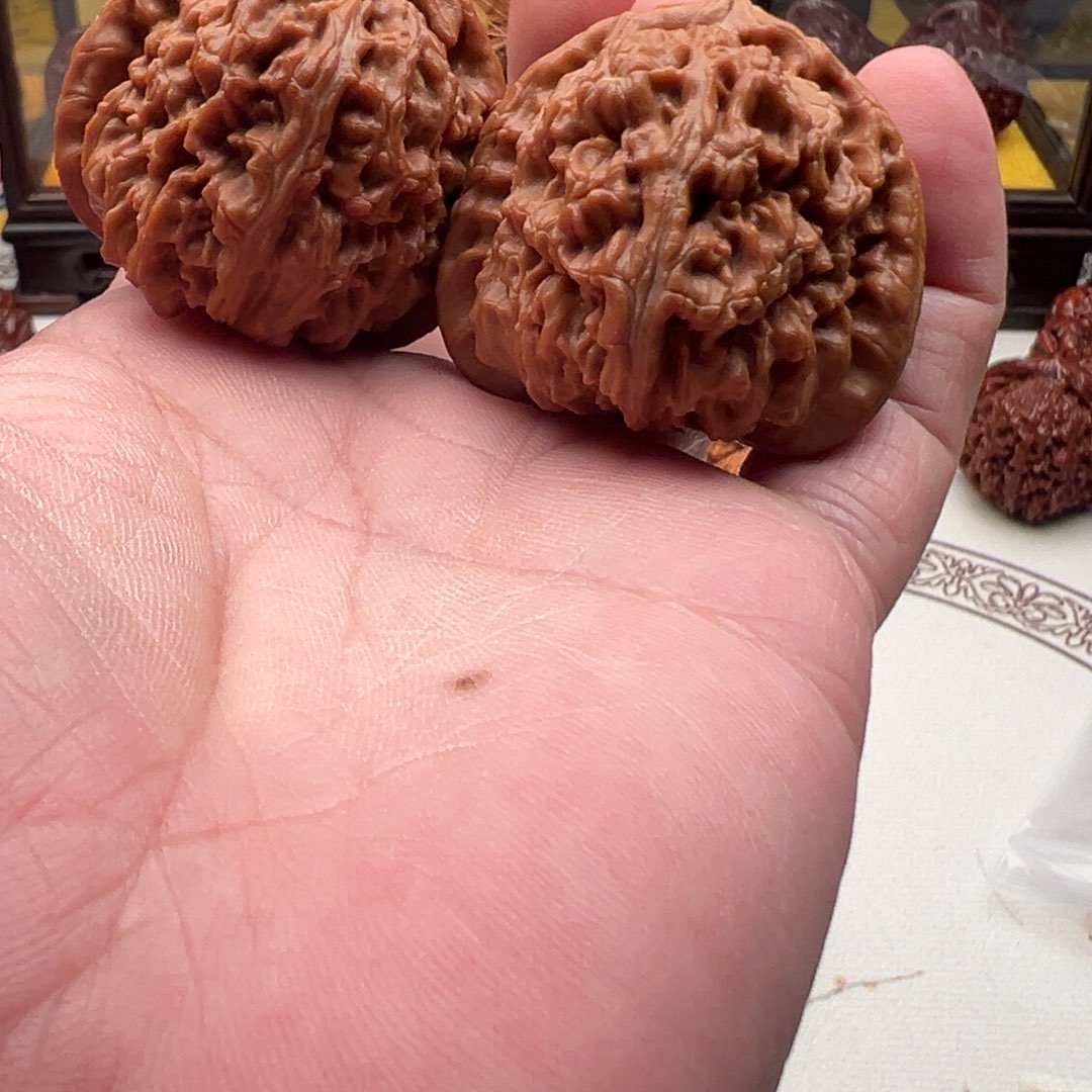 嗯***·猴头核桃吊坠三角白狮子头