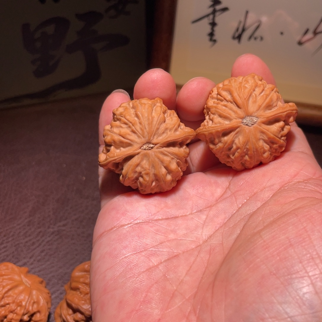 w***！文玩核桃全品金牛