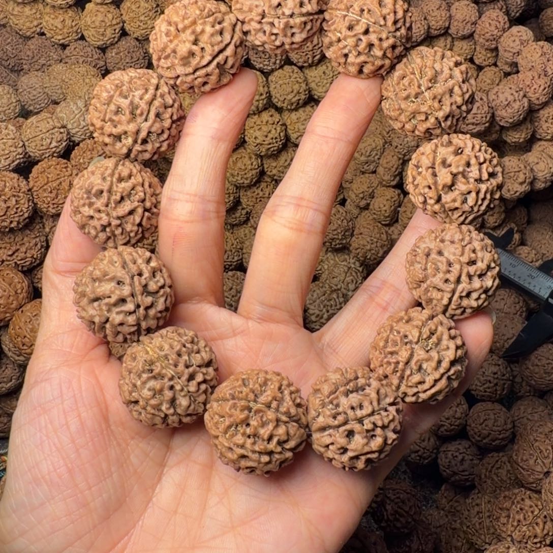 金刚菩提手串8瓣卡25尺，41号