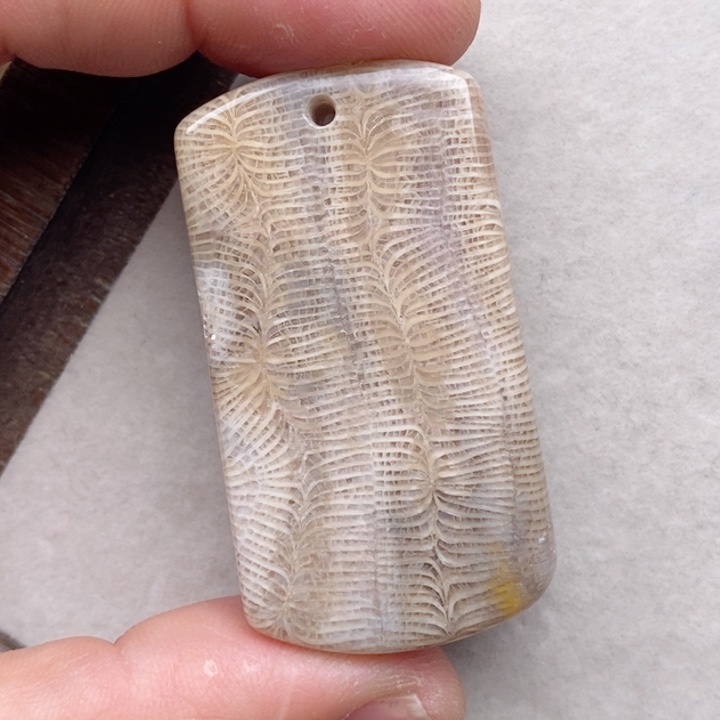 硅化珊瑚（珊瑚玉）颈饰未镶嵌