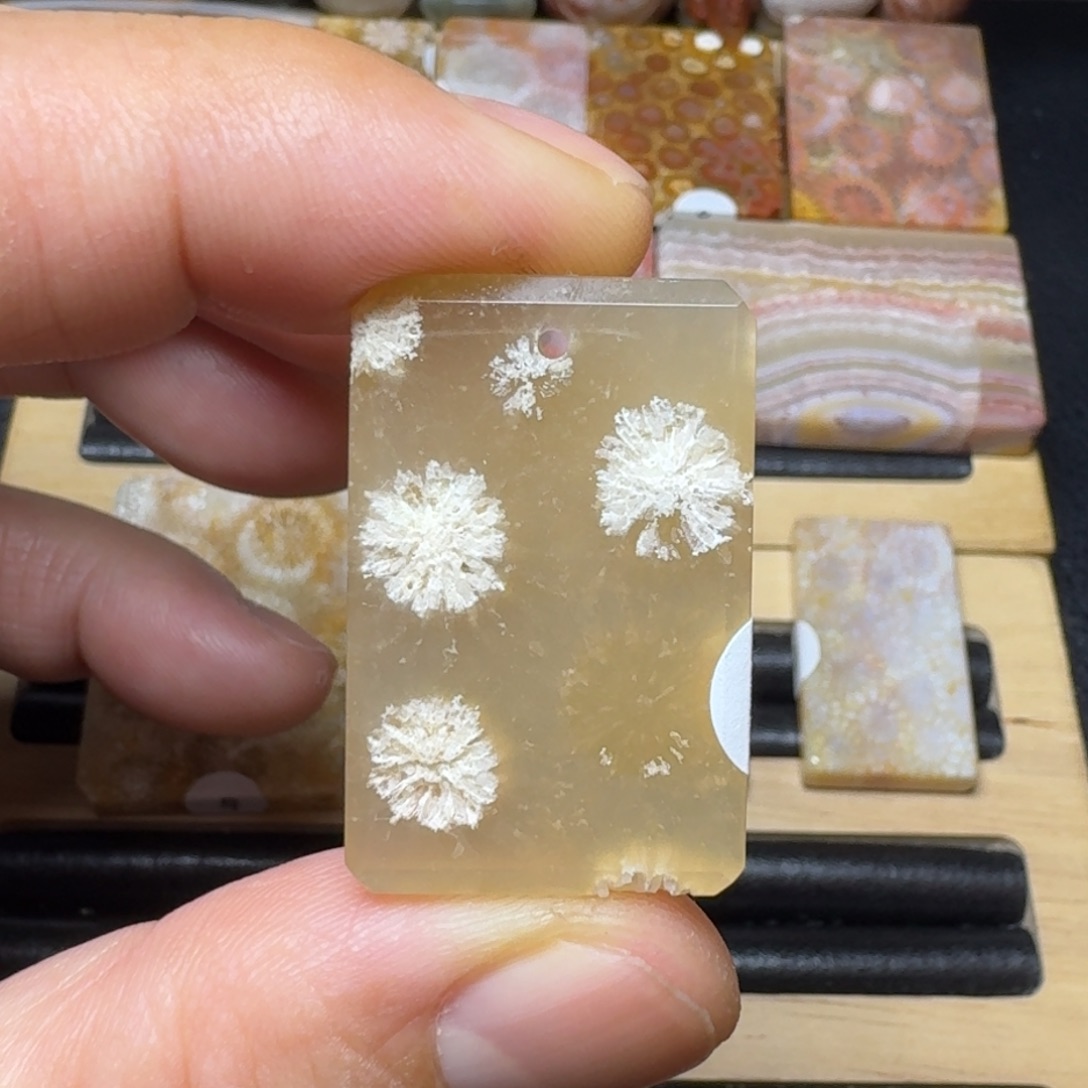 硅化珊瑚（珊瑚玉）纯天然色有机玉石未镶嵌