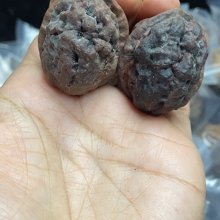 把件文玩核桃云南铁核桃基地38