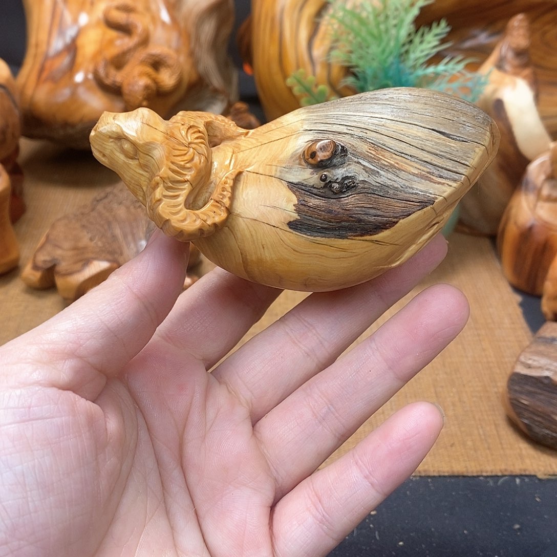 柏木（崖柏）一物一图