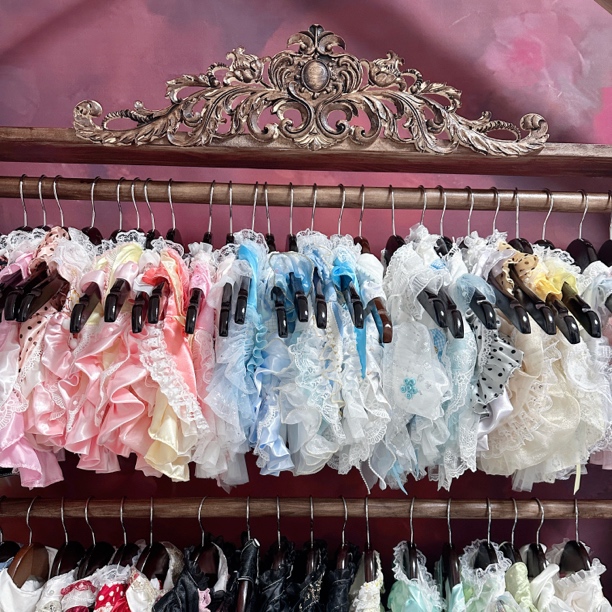宠物衣服 孤品 直播间过款福利新款no退no换