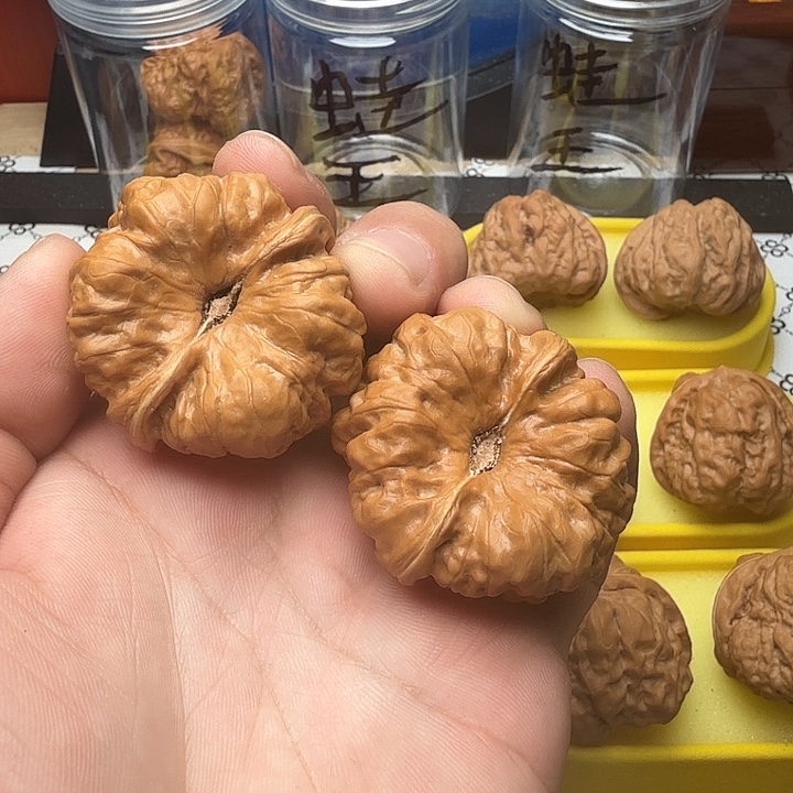 ～***～把件文玩核桃大尺寸，蛤蟆头，