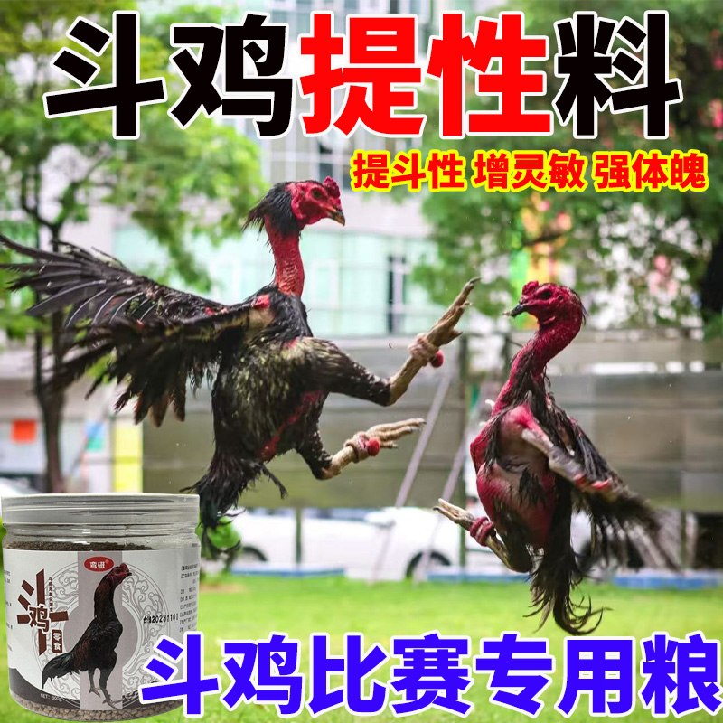 【斗鸡提性料】正宗斗鸡饲料快速增膘增强战斗力赛前赛后补充营养粮