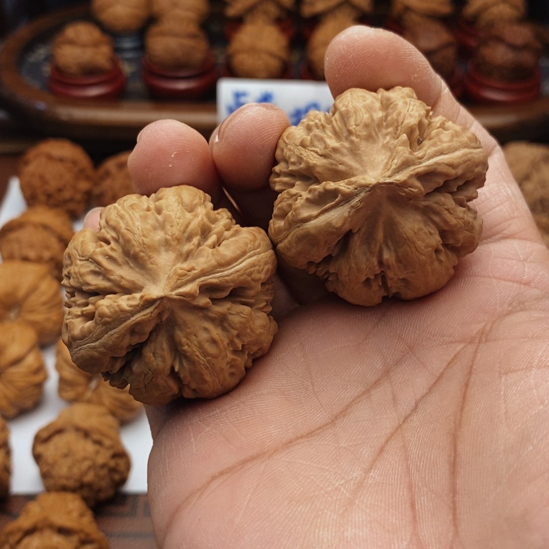 文玩核桃把件43尺 全品霸王龙 13