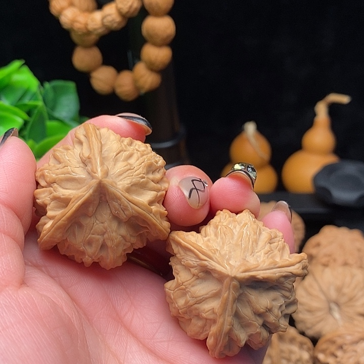 核桃盘山三棱肉球全品