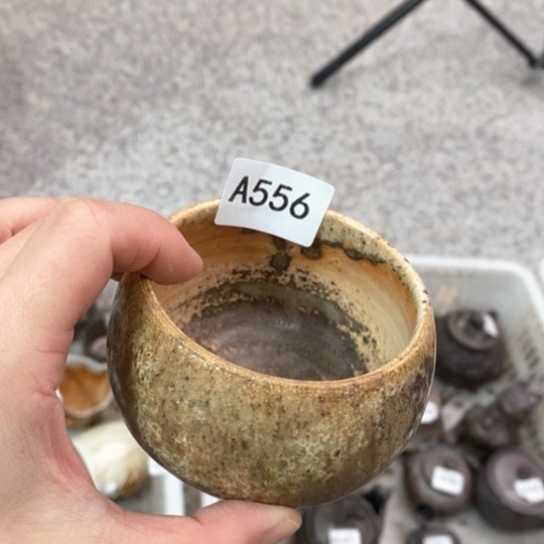 瑕疵瑕疵瑕疵瑕疵