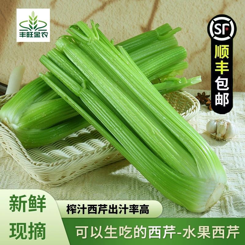 【顺丰包邮】榨汁西芹寿光新鲜蔬菜榨汁专用水果西芹无叶山芹晚餐
