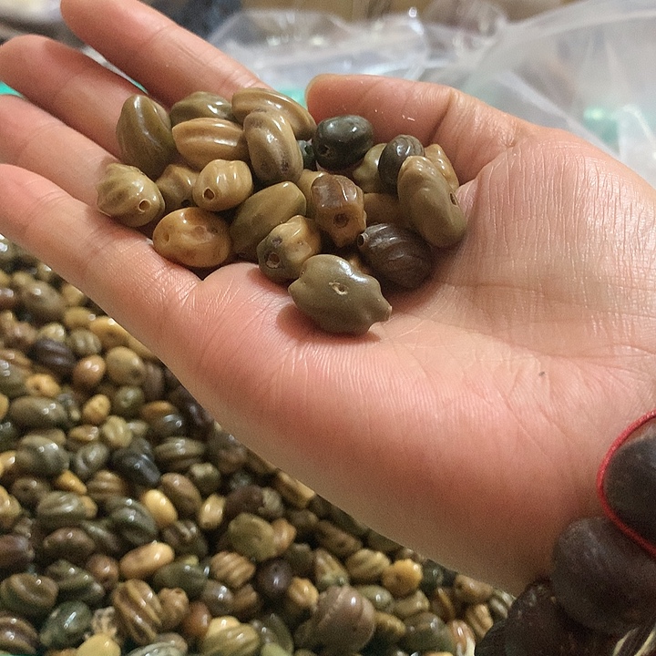 霸***姐千眼菩提吊坠龙脊