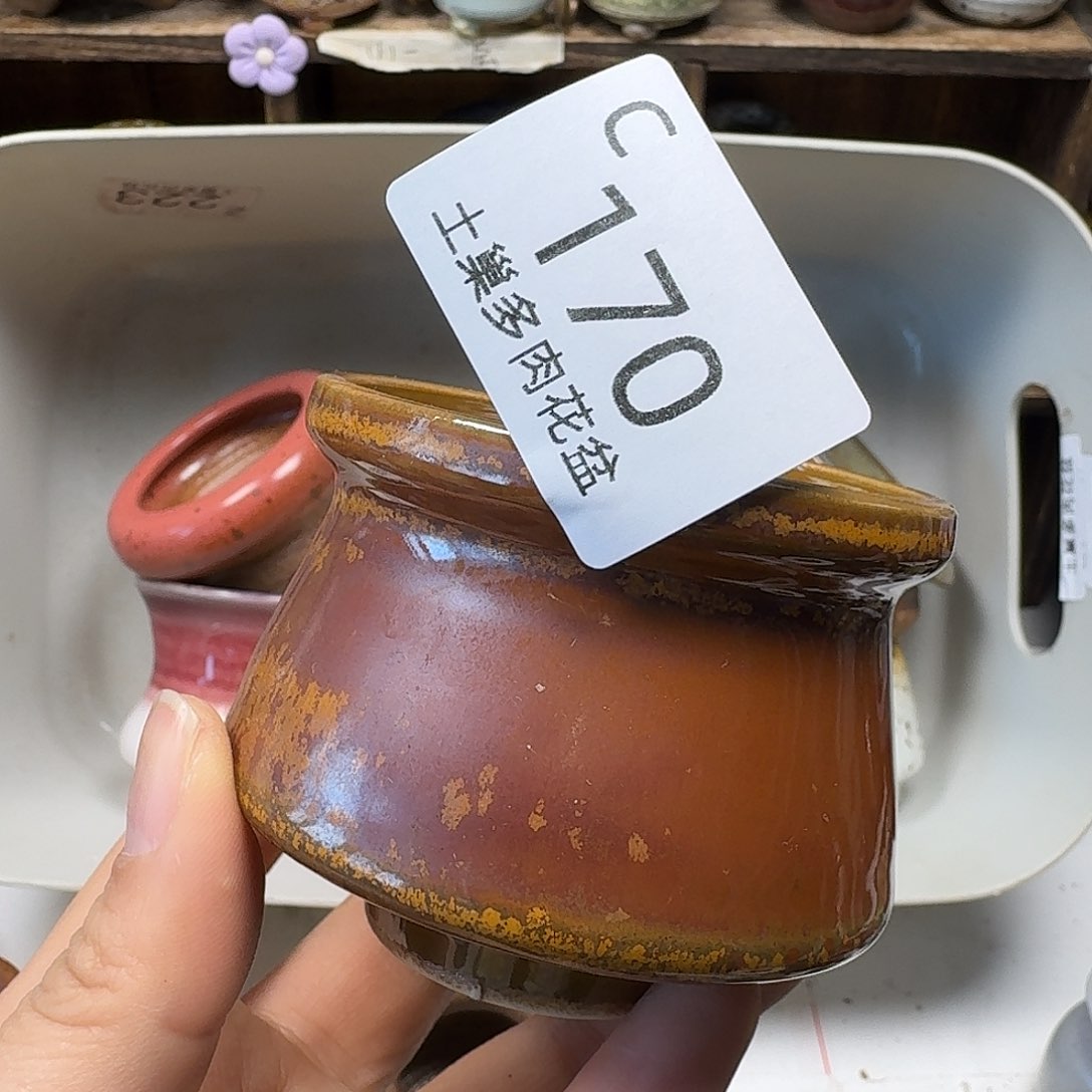 罐陶瓷艺术品设计与制作