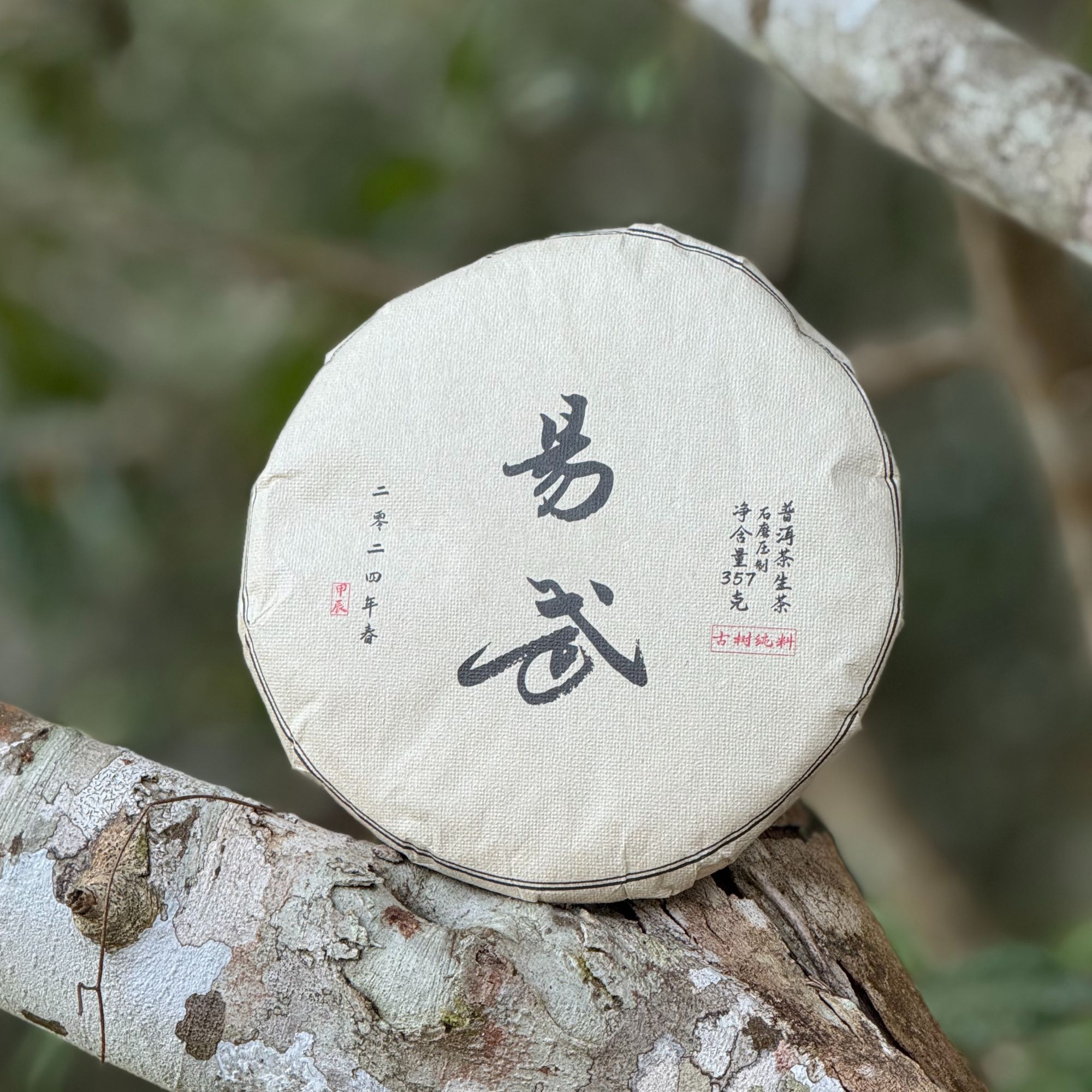 【双十二福利】易武古树 2024年头春头采 普洱生茶 357克饼（带茶样）