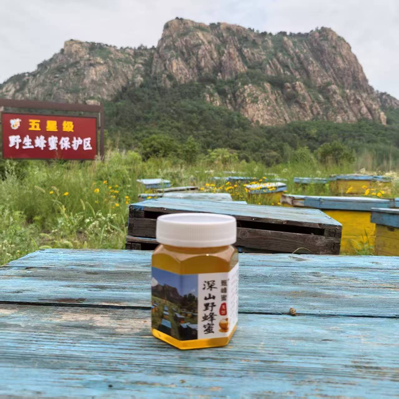 【周帅助农专属】沂蒙山 野山花蜜 天然成熟蜜 JJ