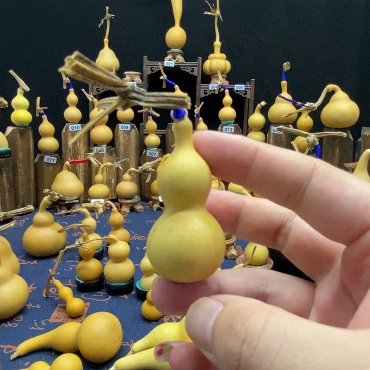 葫芦等经济林木生长