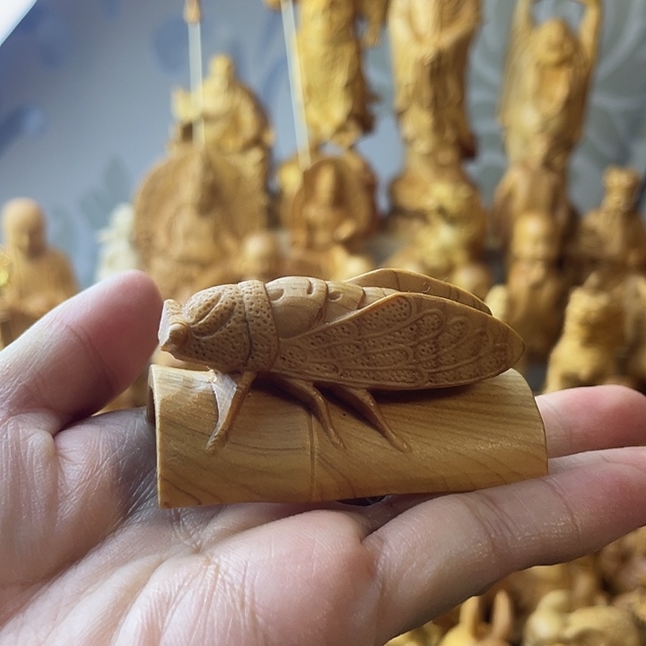 柏木（崖柏）崖柏一鸣惊人
