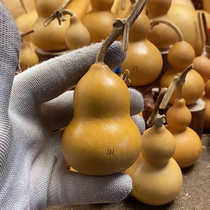 文玩葫芦 完美主义者 慎拍41