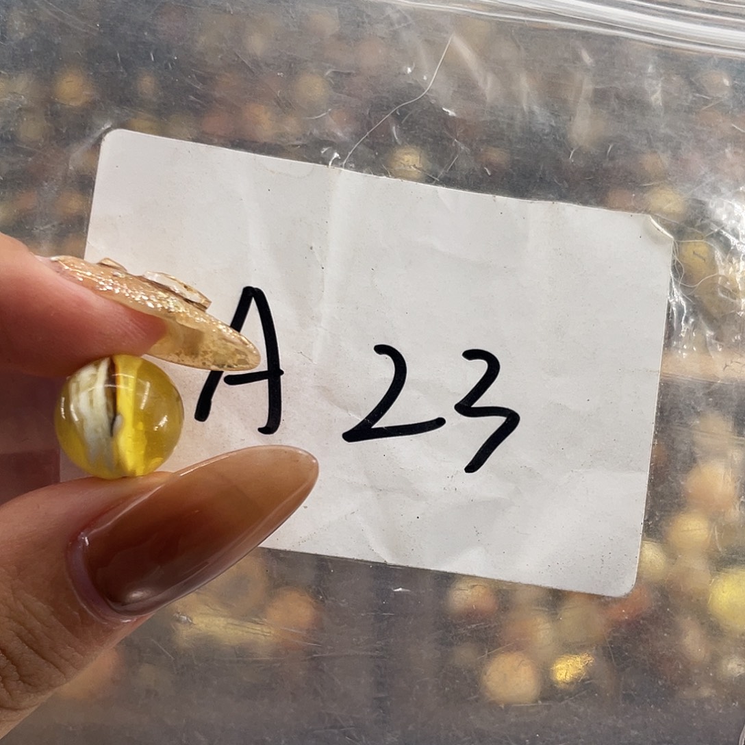 整****琥珀未镶嵌裸石11.7福利