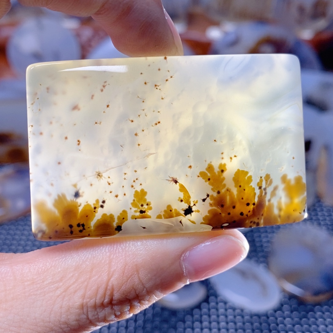 玛瑙/玉髓未镶嵌珠宝半成品