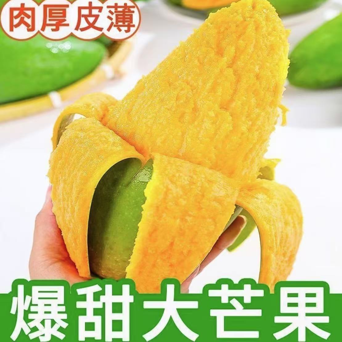 生熟两吃新鲜青皮大青芒现摘现发新鲜软糯