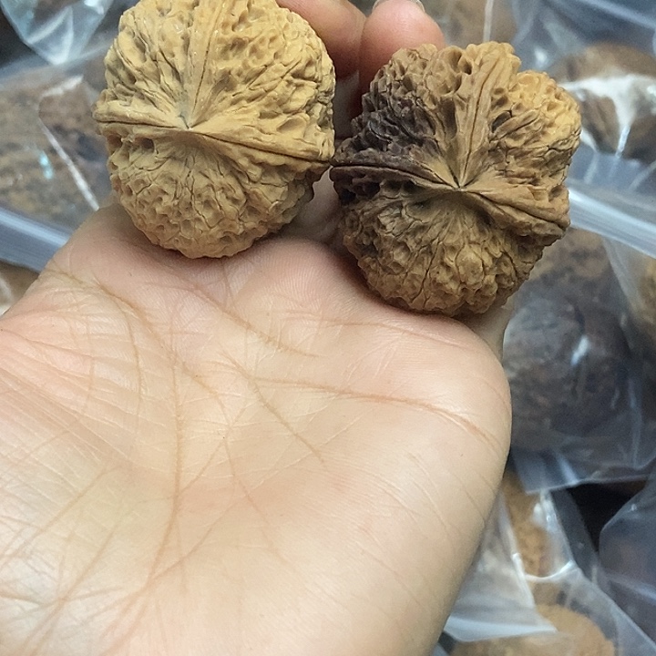 木质类云南铁核桃基地59