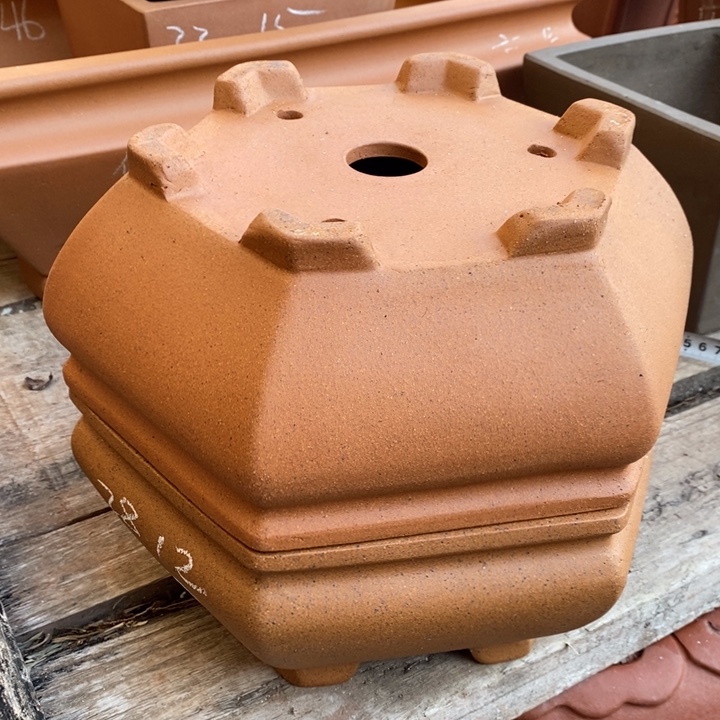 紫砂花盆只顾看着自己