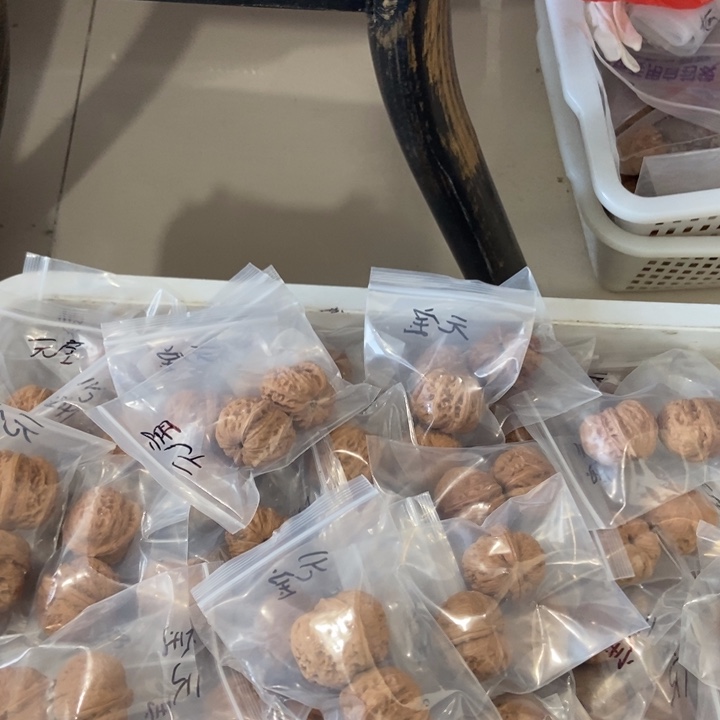 吊坠文玩核桃元宝瑕疵