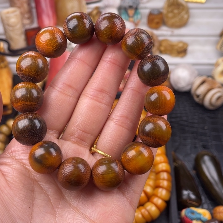 驼骨其他好的牛角16