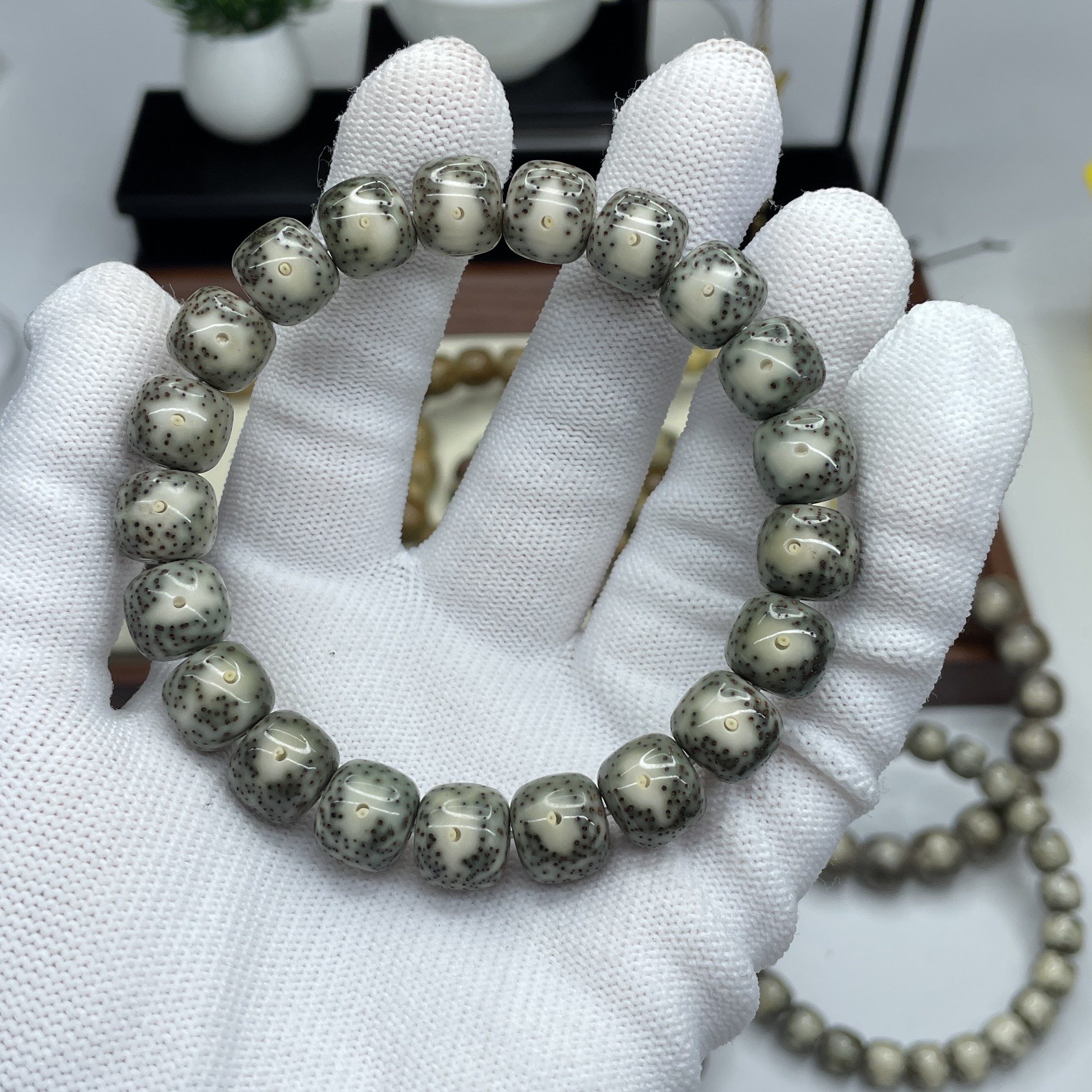 海南星月菩提11×10绿包白黄金瞳大眼睛