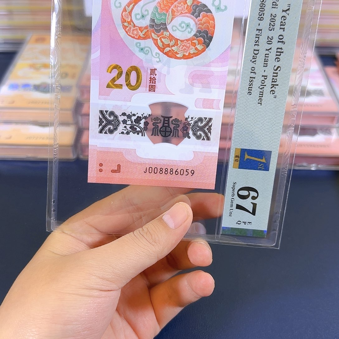 塑料蛇钞008886059单张