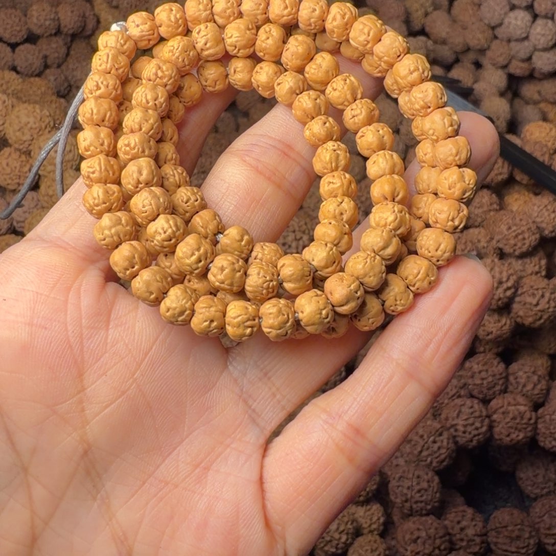 手串金刚菩提佛手卡6尺，109