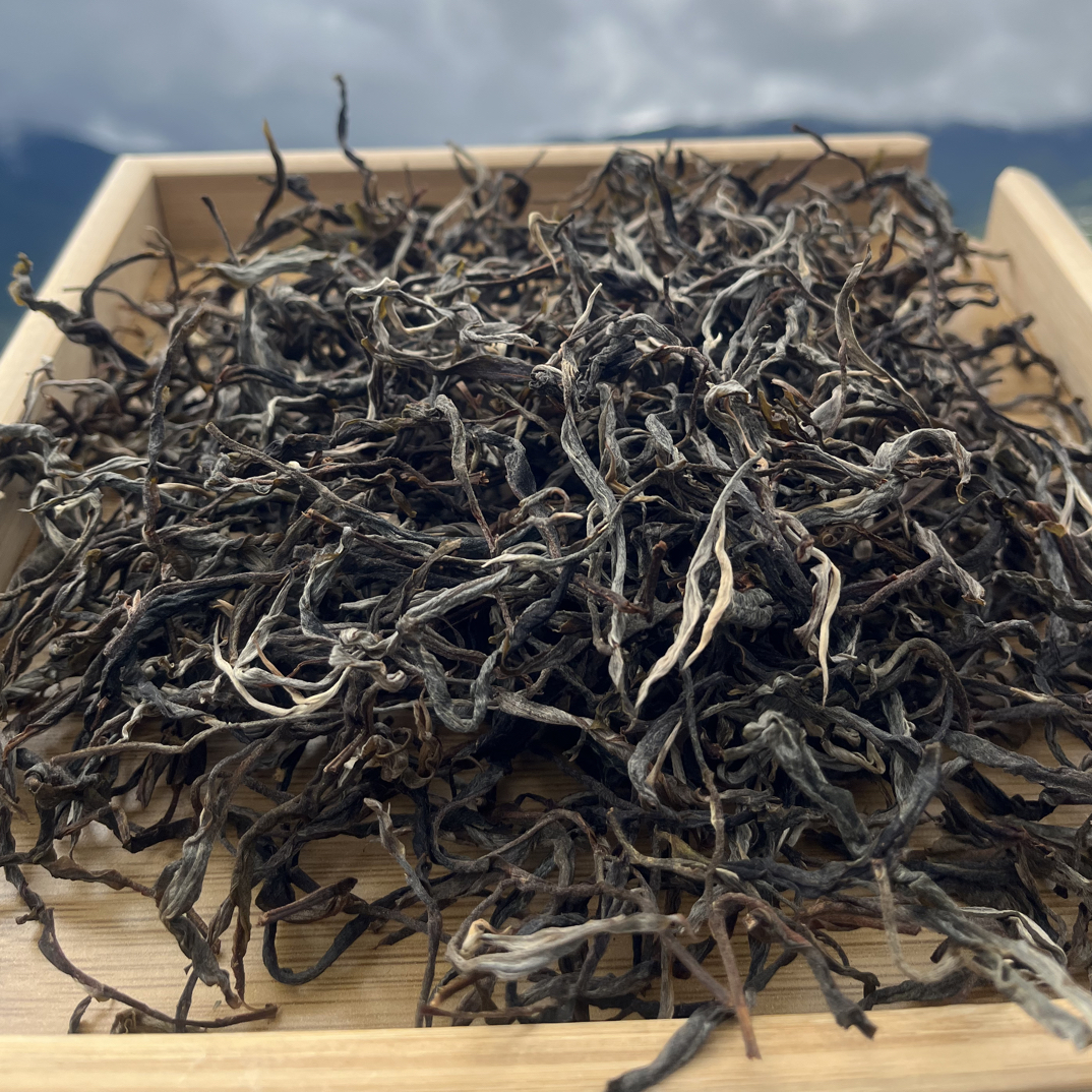 坝卡古树2025年秋 散茶