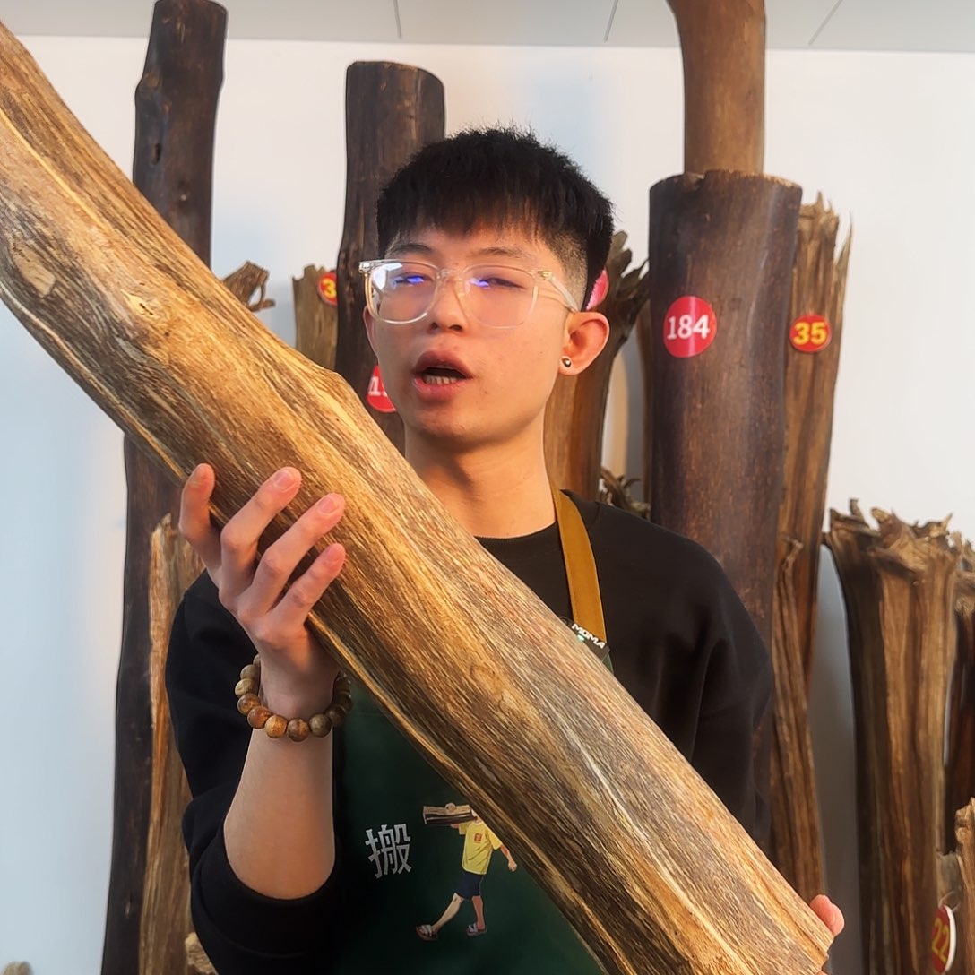 沉香摆件天然沉香原木摆件➕底座