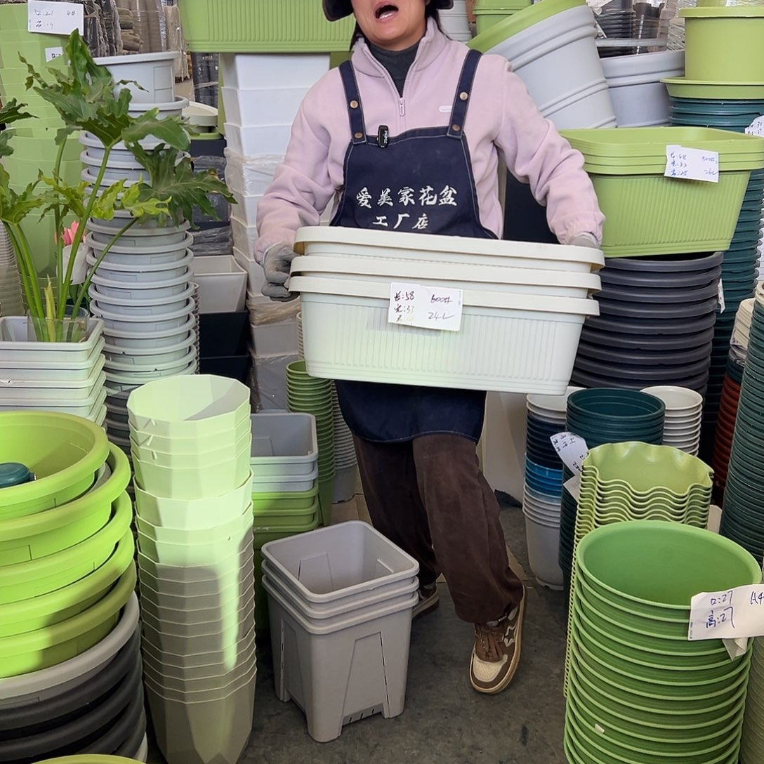 菜盆600#米白色3个无托