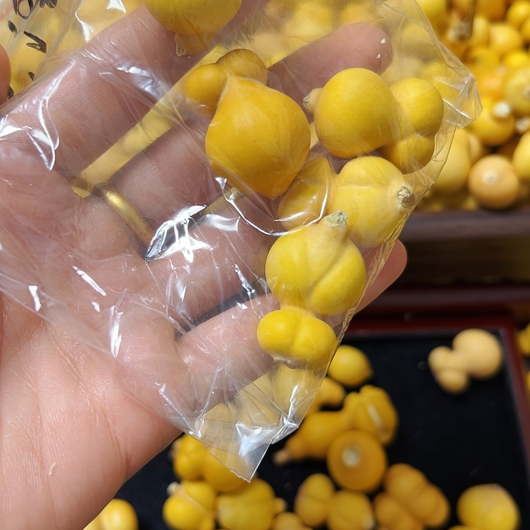 宸***麻葫芦葫芦葫芦葫芦了