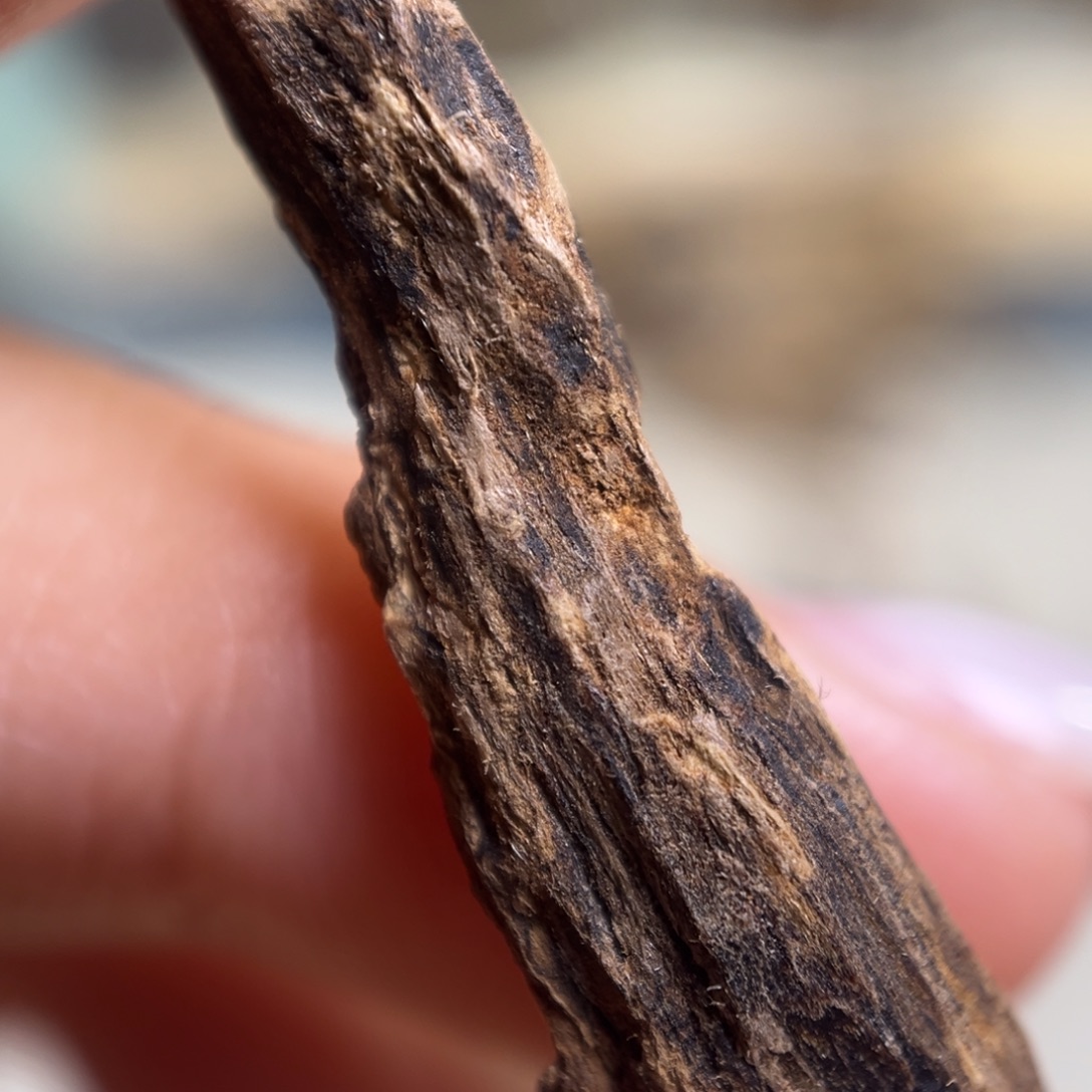 俊***)沉香海南根部棋楠0.5克