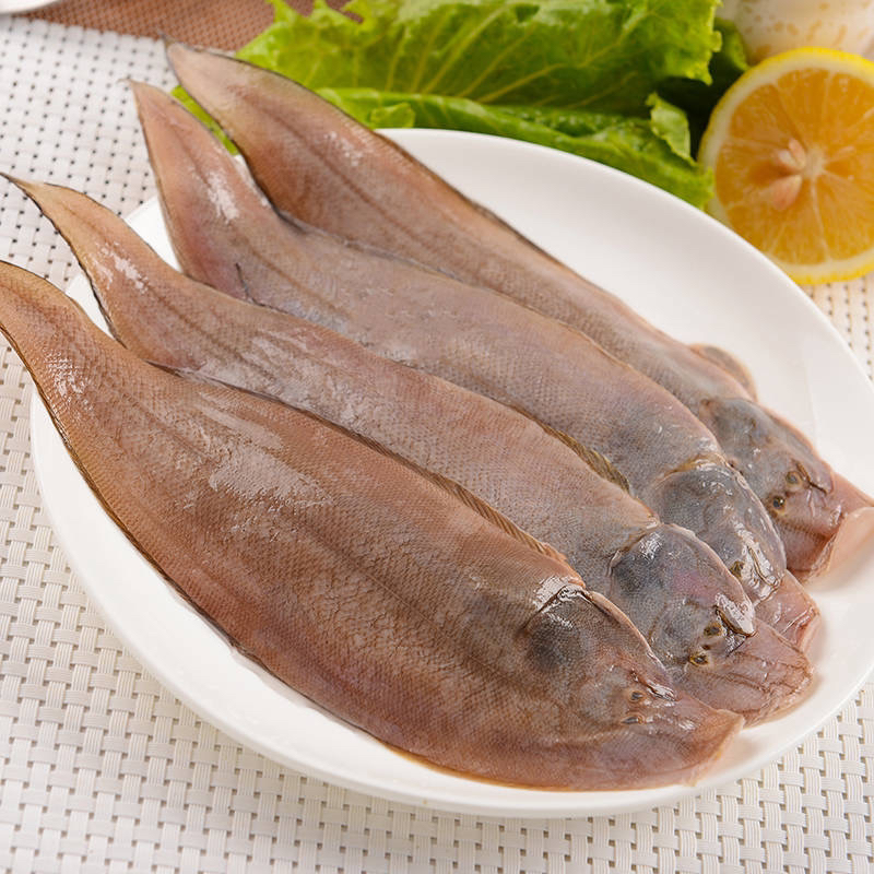 海捕龙利鱼海鲜水产新鲜海鱼顺丰发货次日达海鲜