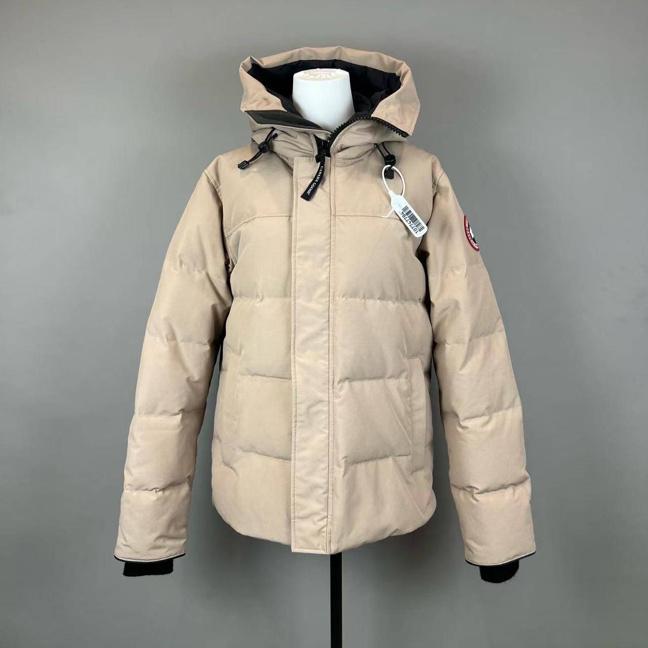 99新 CANADA GOOSE 2501102/尺码M/石灰色Macmillan羽绒服/9910