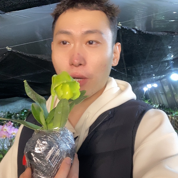 无花朵绿肉饼带花