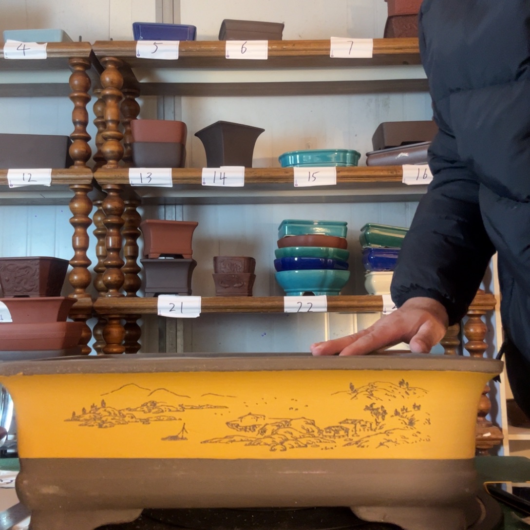 的的地方广告投放到的