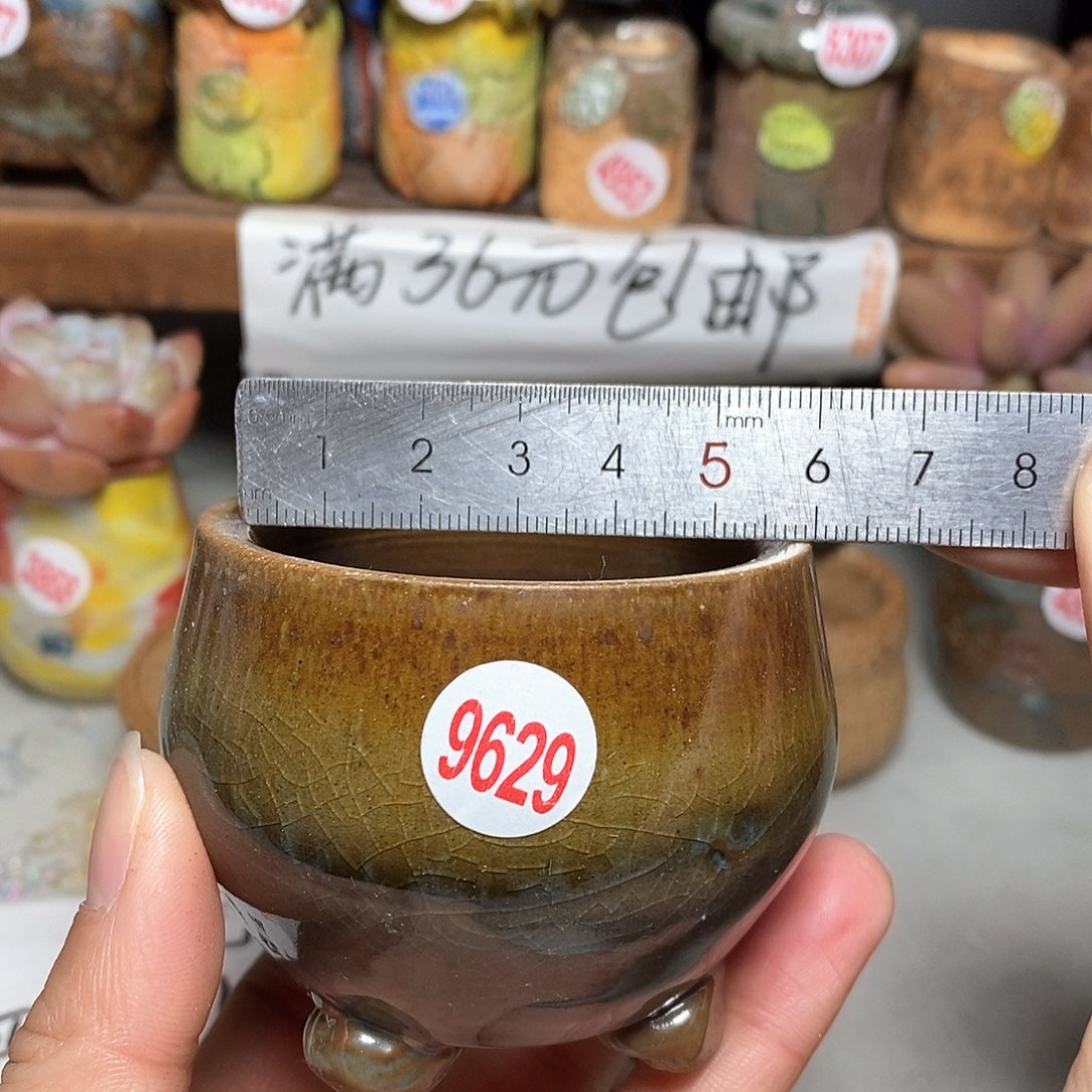 红陶拍5送一个小