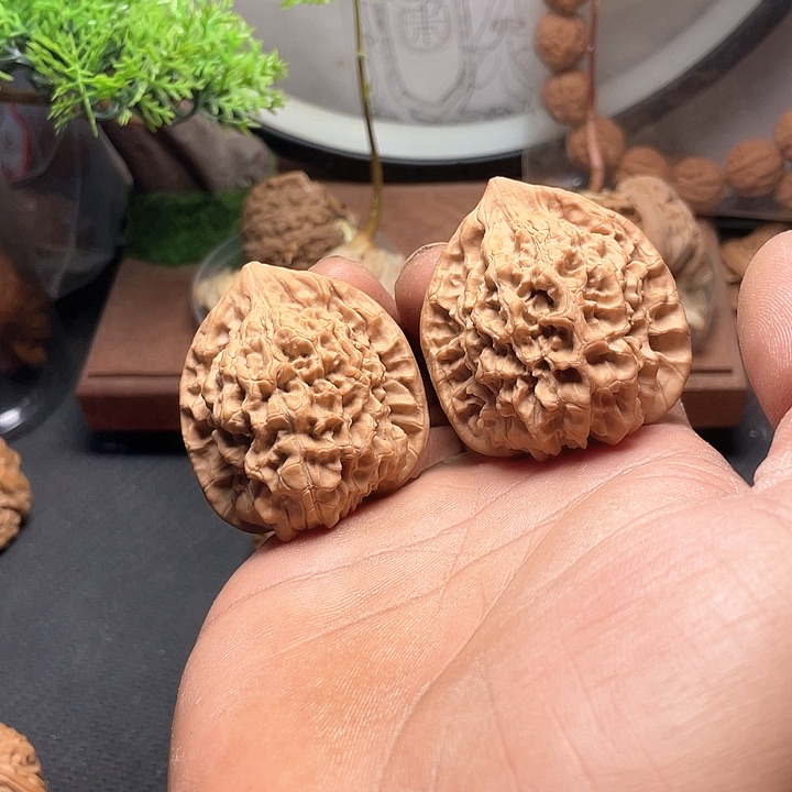 核桃手串/手链44王永…………