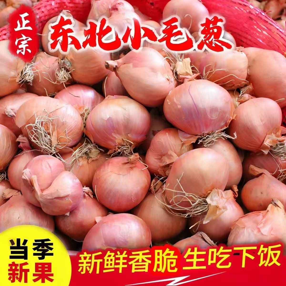 【毛葱一哥】东北毛葱正宗新鲜鬼子葱红葱头珠葱农家笨毛葱火葱头