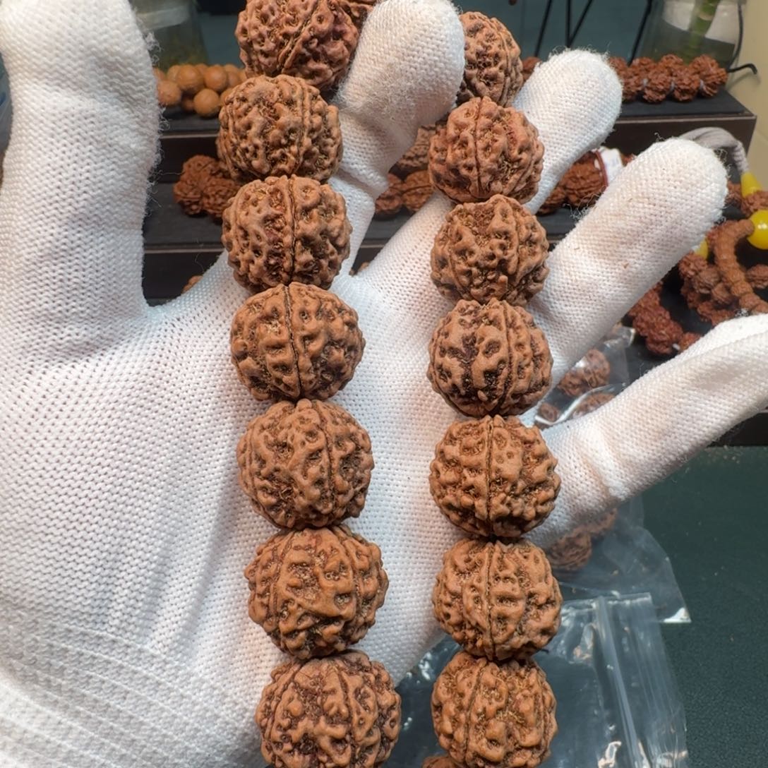 金刚菩提手串22巨肉泰坦龙头货